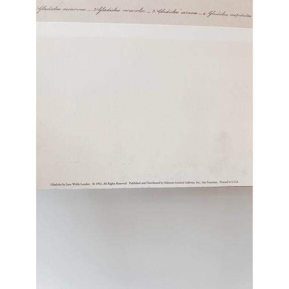 Unframed Vintage Gladiolus Botanical Print – 14x18‎ - Picture 2 of 4